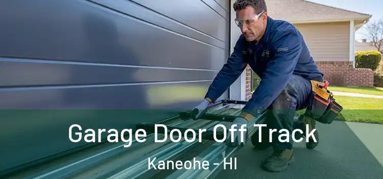  Garage Door Off Track Kaneohe - HI